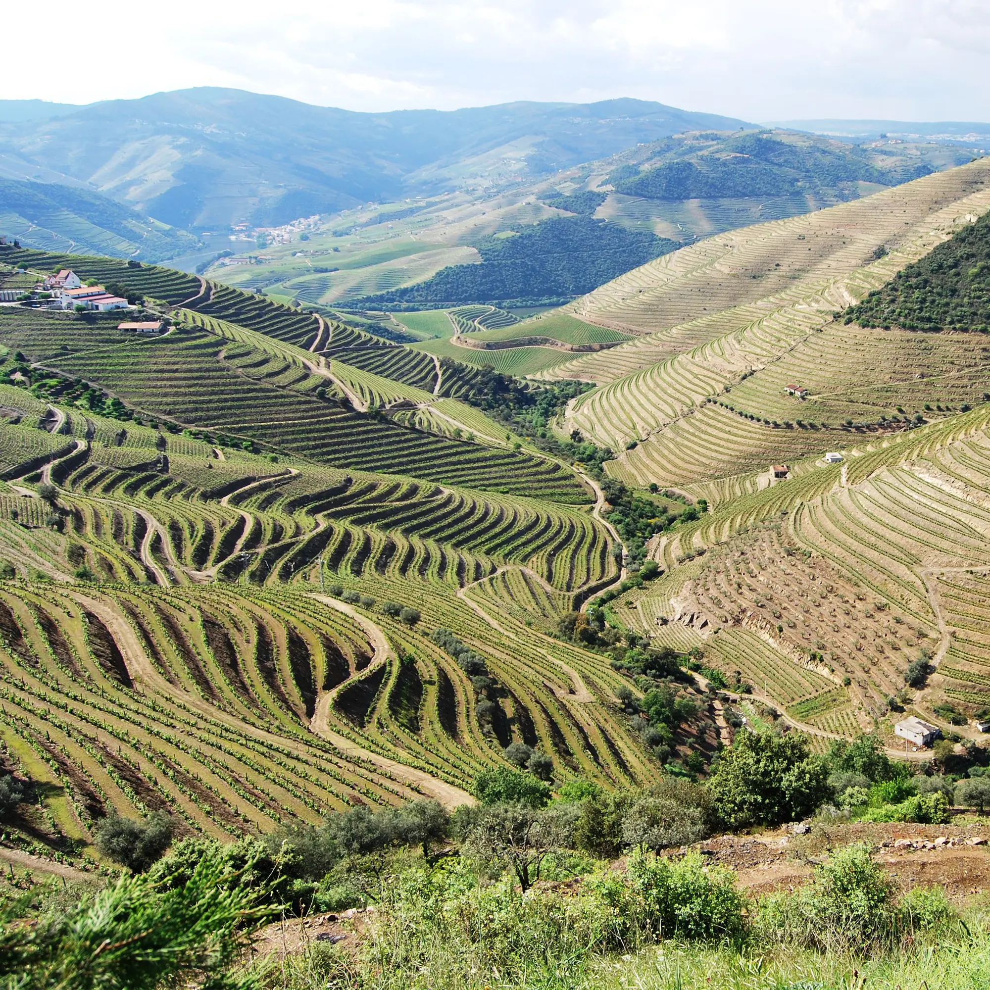 Douro-Tour-01