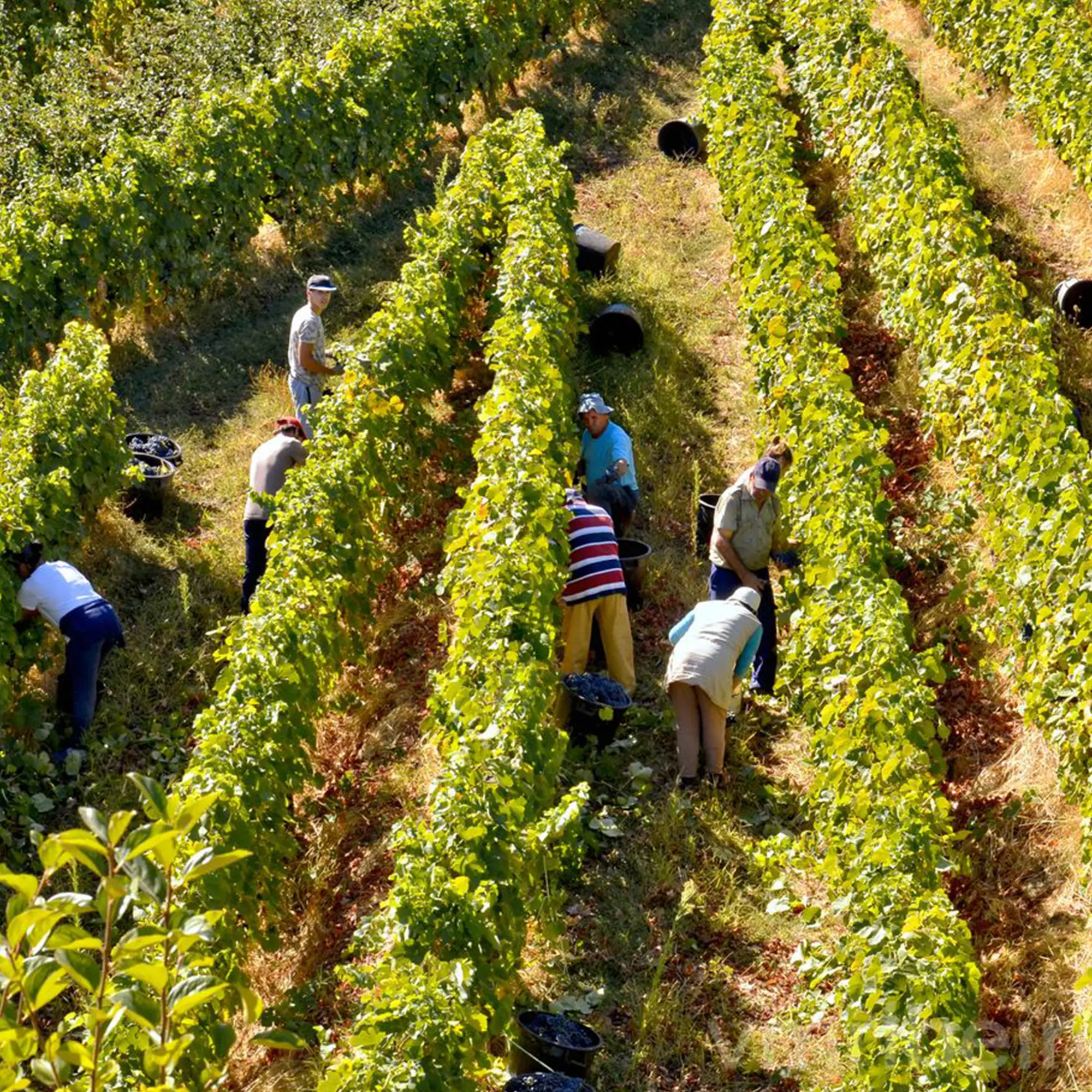 Douro-Tour-04