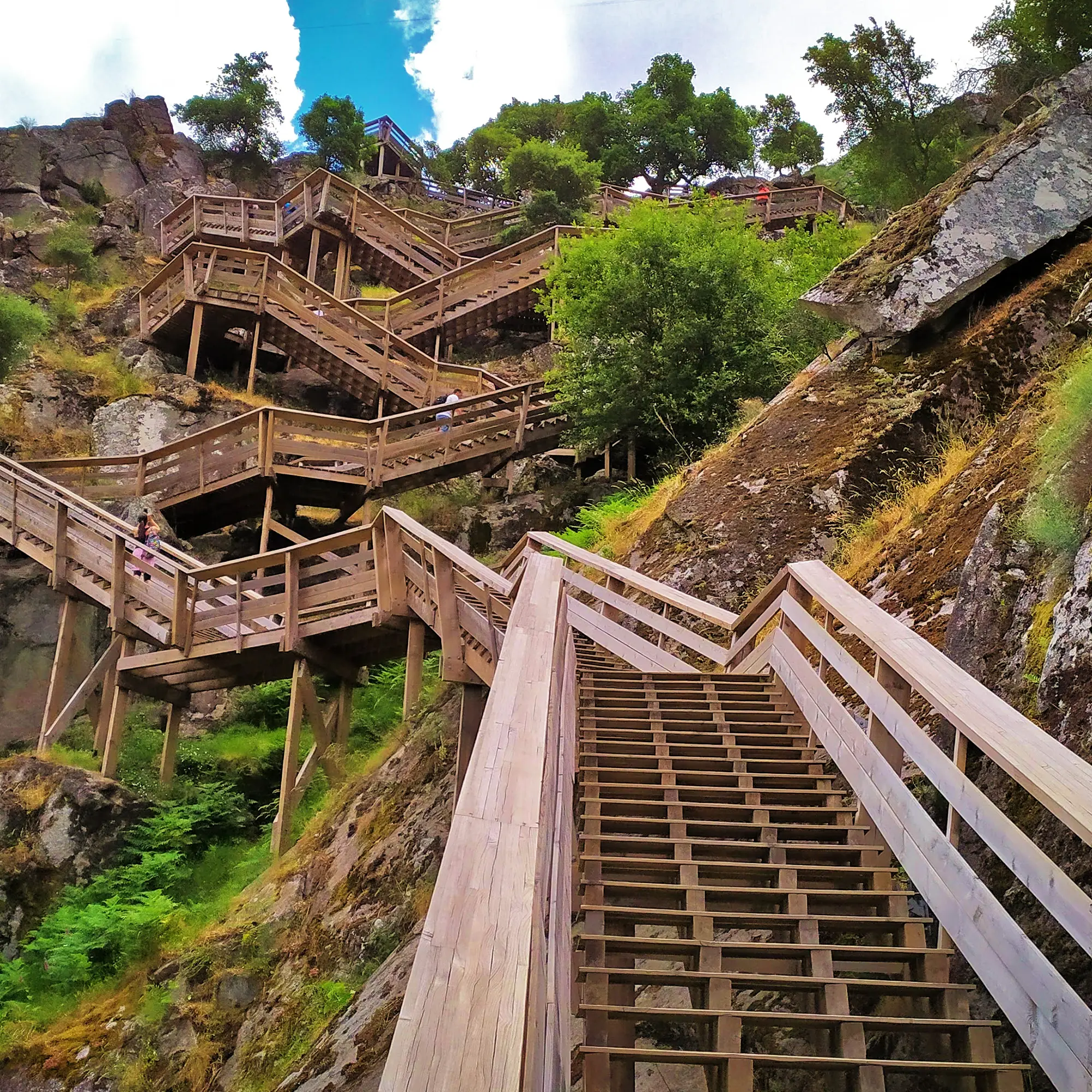 Nature-Tour-01