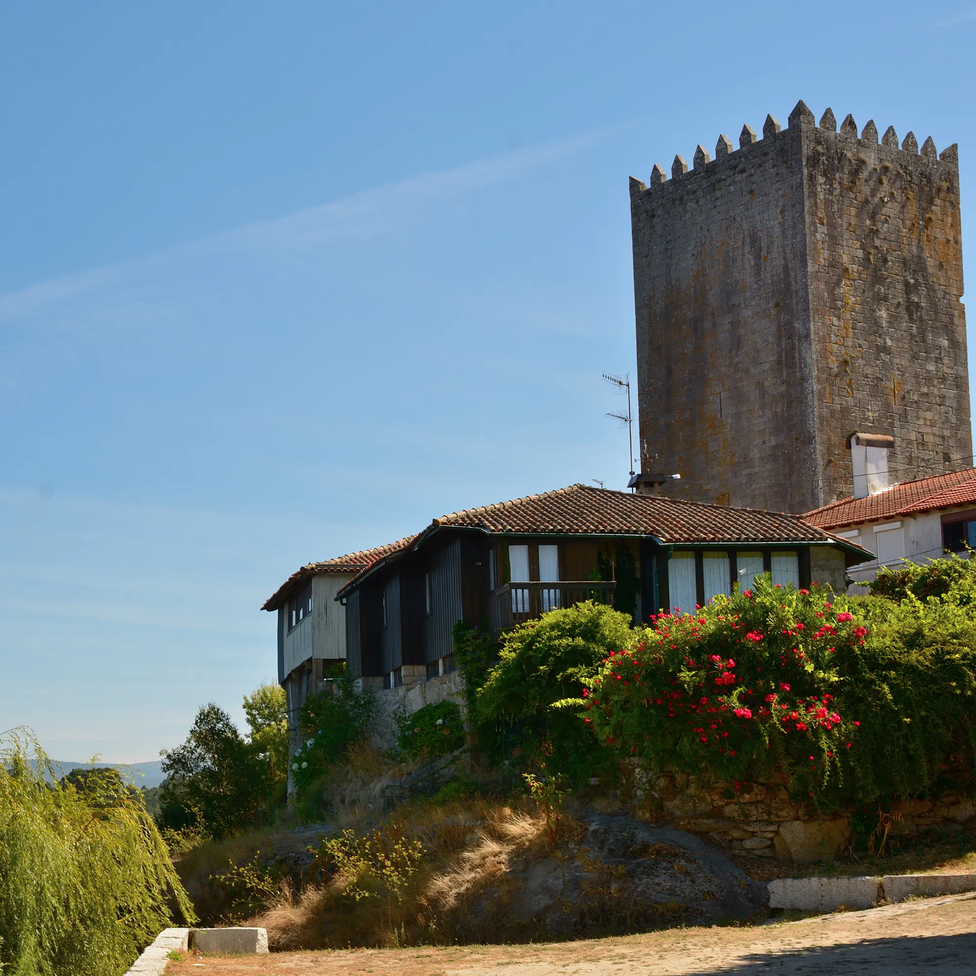 wine-tour-03